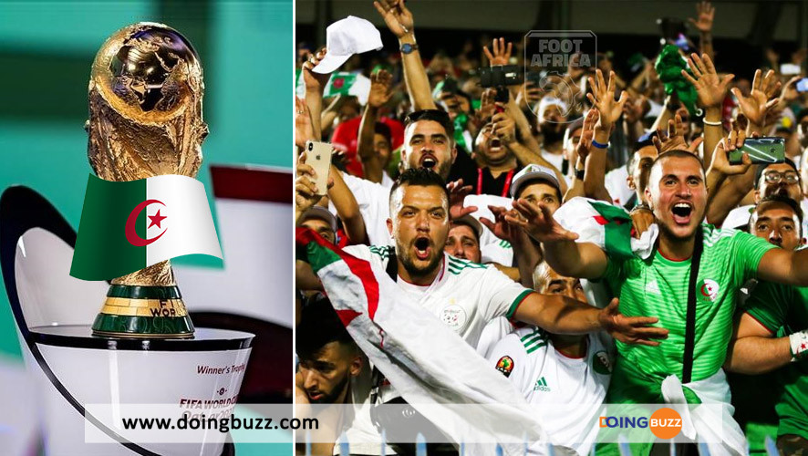 Algerie Coupe Du Monde 2022
