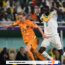 Coupe du Monde : Les Pays-Bas s’imposent au Sénégal