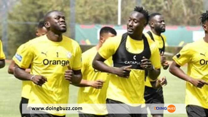 Coupe Du Monde : Les Compositions Officielles Du Match Sénégal Vs Pays-Bas