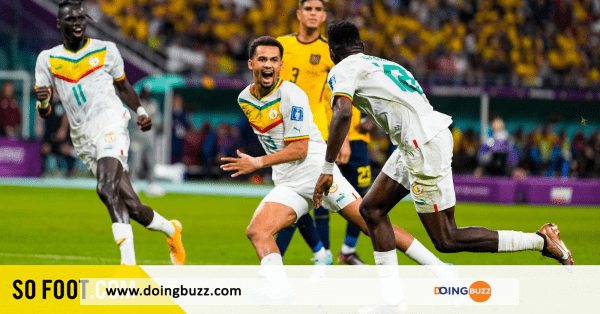 Coupe du monde 2022 : le Sénégal remporte face à l'Equateur et se qualifie