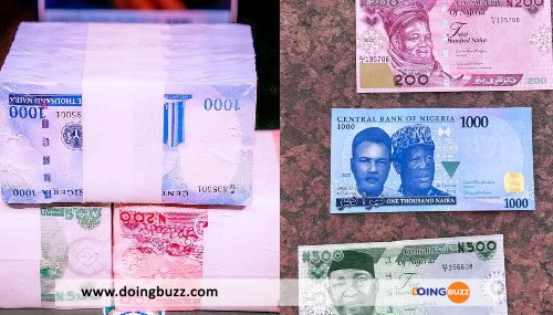 Nigéria : De Nouveaux Billets De Nairas Lancés Pour Lutter Contre La Corruption