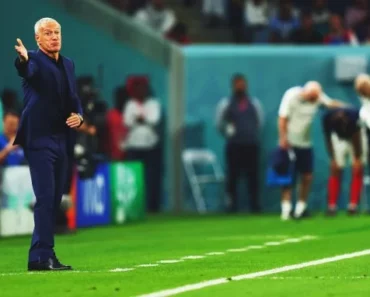 Coupe Du Monde 2022 : L&Rsquo;Arbitre De La Rencontre Tunisie-France Est Connu