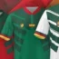 Le maillot du Cameroun pour la Coupe du monde 2022