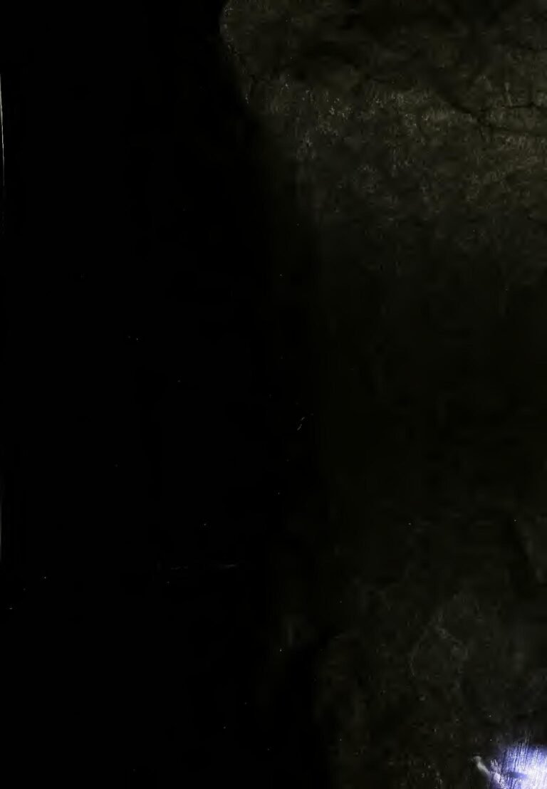 Bénin: Grave accident de la circulation à Togoudo-Houédonou.