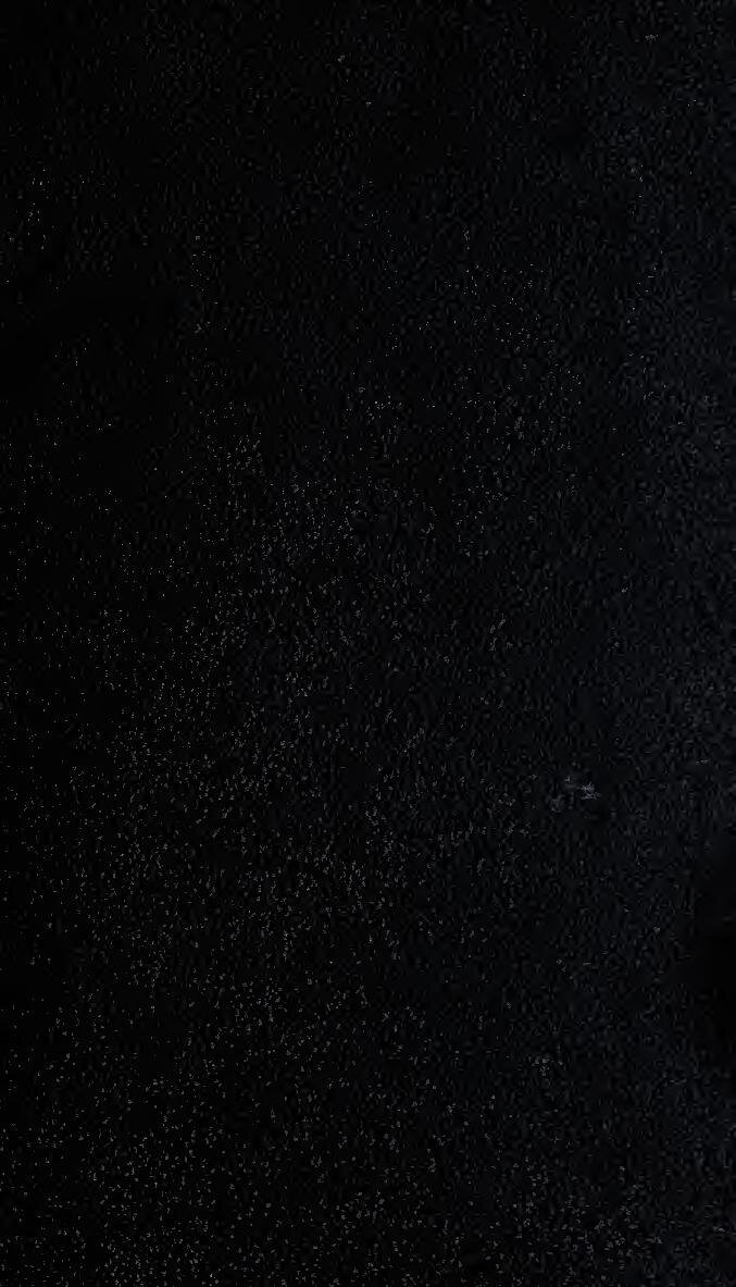 Belgique : Analyse complète de l’équipe, joueurs clés et défis à relever