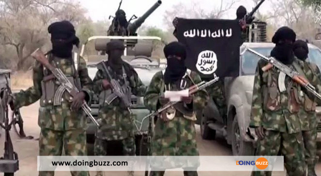 Nigeria : Plus De 50 000 Combattants De Boko Haram Déposent Les Armes