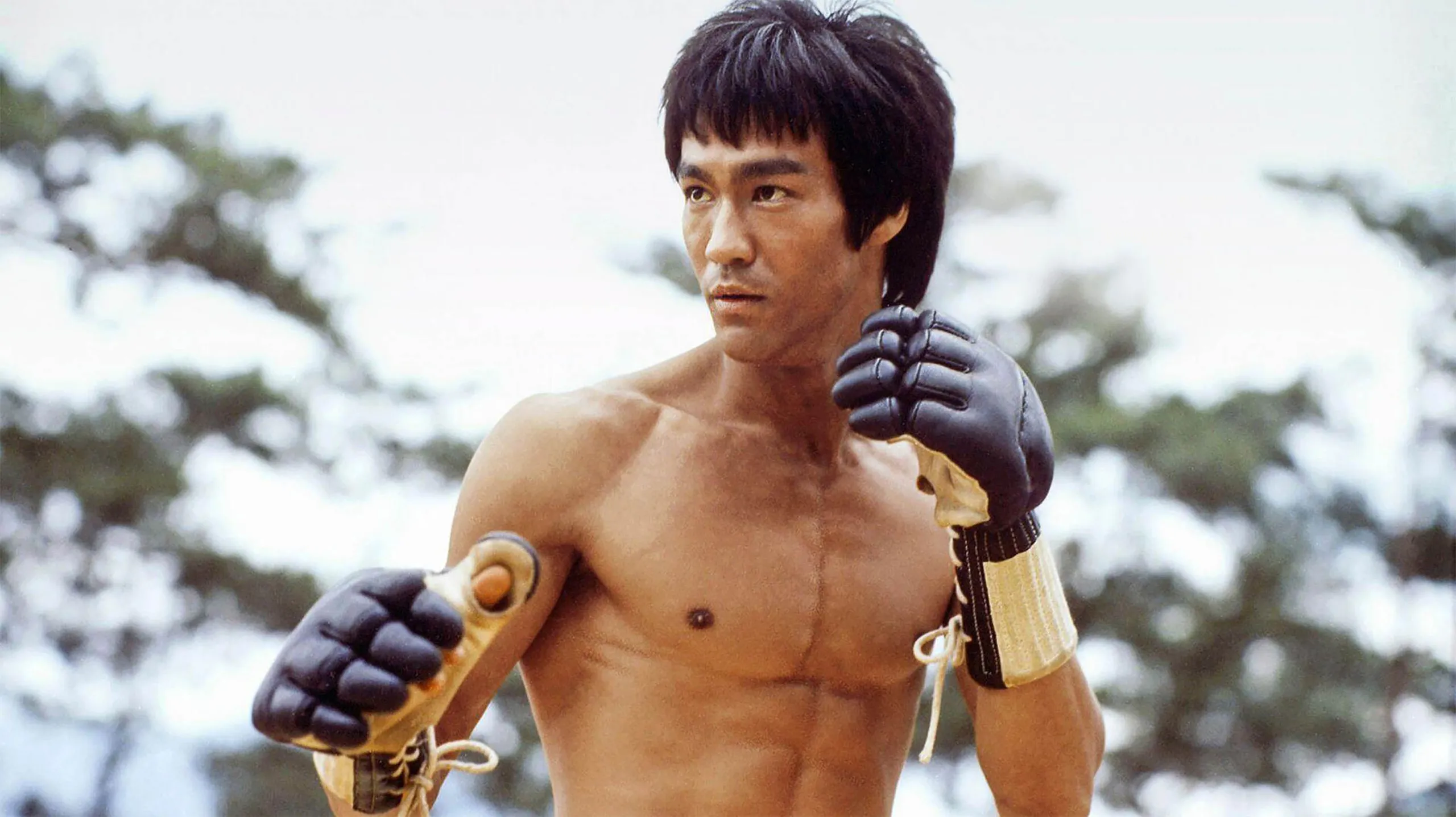 Bruce Lee : De Nouvelles Précisions Sur Les Causes De Sa Mort 