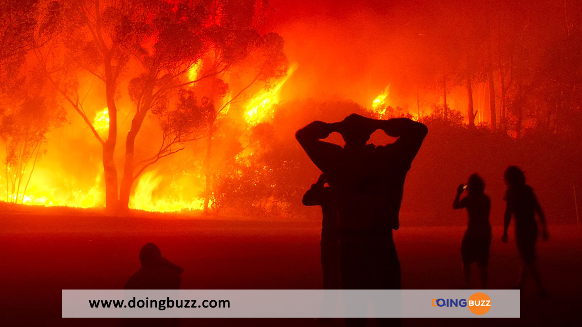 Bénin : Un Nouvel Incendie Déclaré Au Marché Dantokpa