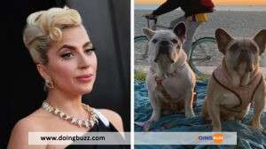 Lady Gaga : 21 Ans De Prison Pour Celui Qui A Volé Ses Chiens