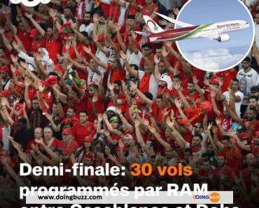 Coupe Du Monde : Royal Air Maroc Met À Disposition Des Avions Pour La Demi-Finale Face Aux Bleus
