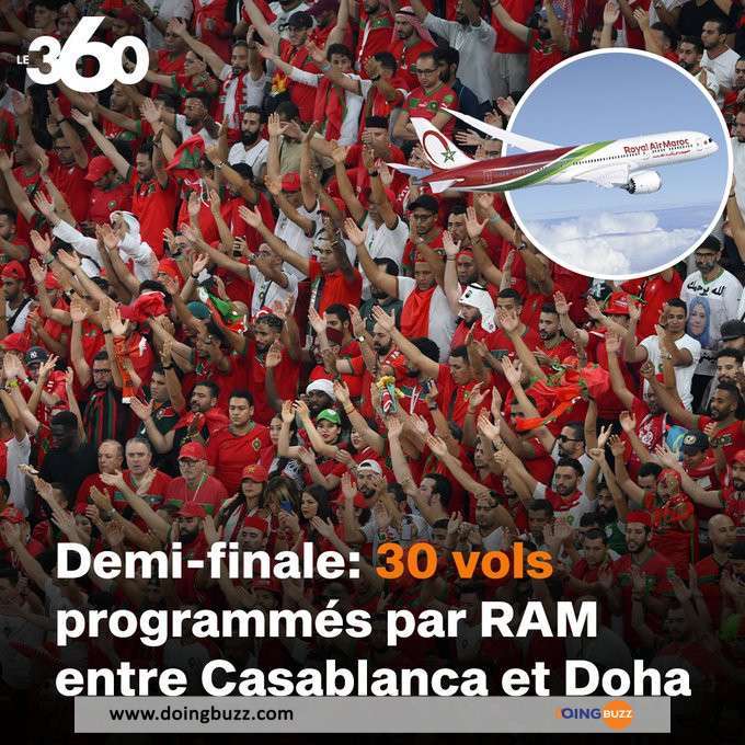 Coupe Du Monde : Royal Air Maroc Met À Disposition Des Avions Pour La Demi-Finale Face Aux Bleus