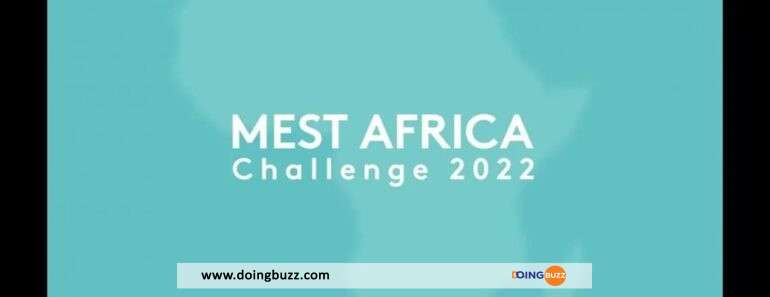 Programme De Formation Mest : Appel À Tous Les Jeunes Entrepreneurs Africains