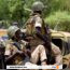 Mali : 29 chinois arrêtés dans les forêts du pays (vidéo)