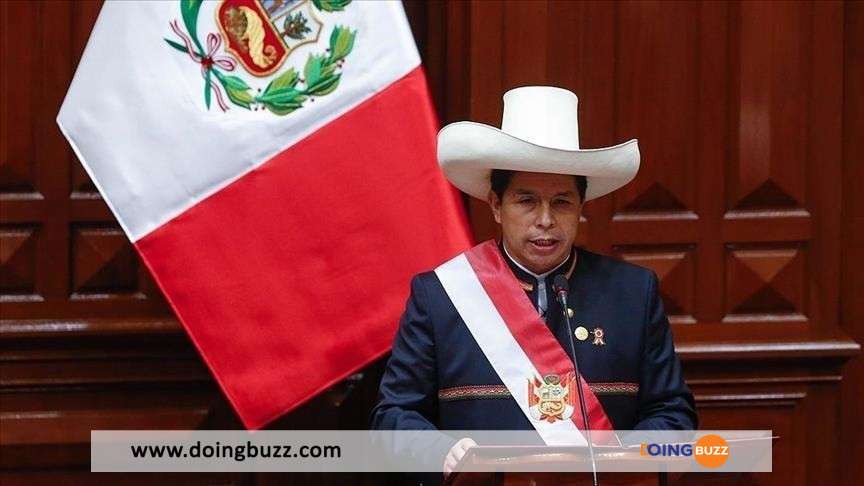 Pérou : le président Pedro Castillo destitué par le parlement et arrêté par la police
