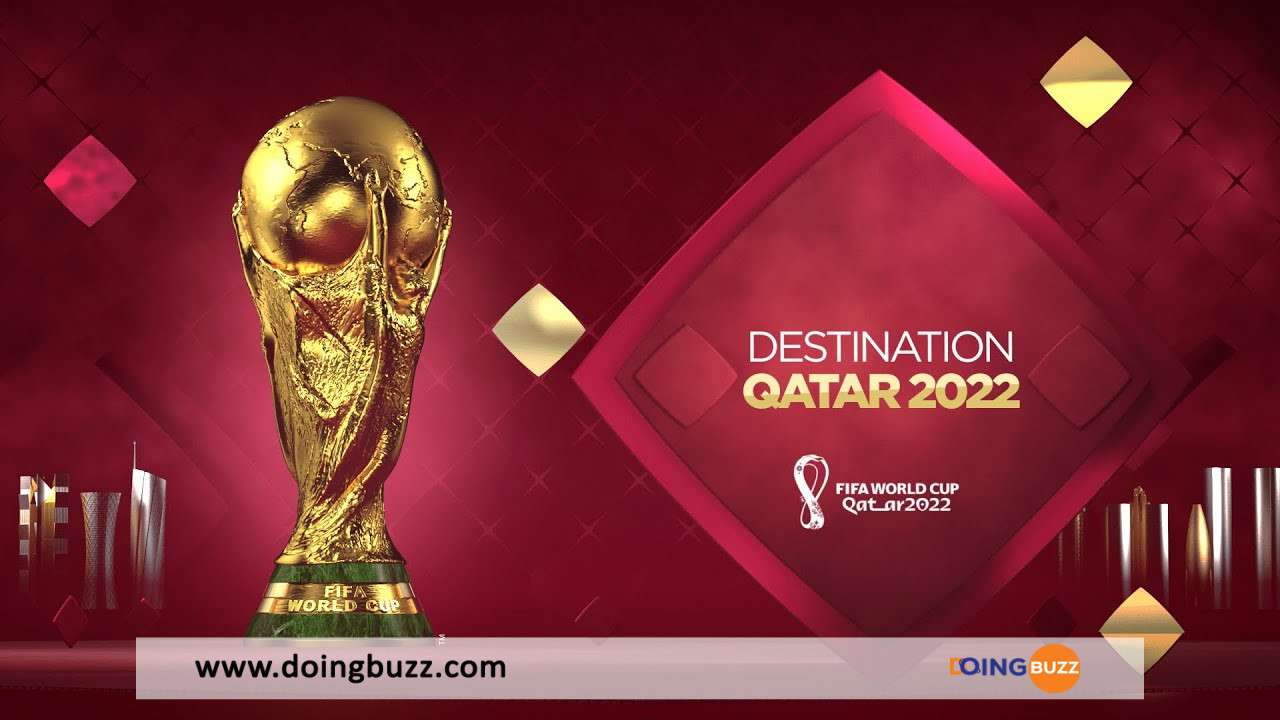 Coupe Du Monde 2022 : Découvrez Le Championnat Le Mieux Représenté !