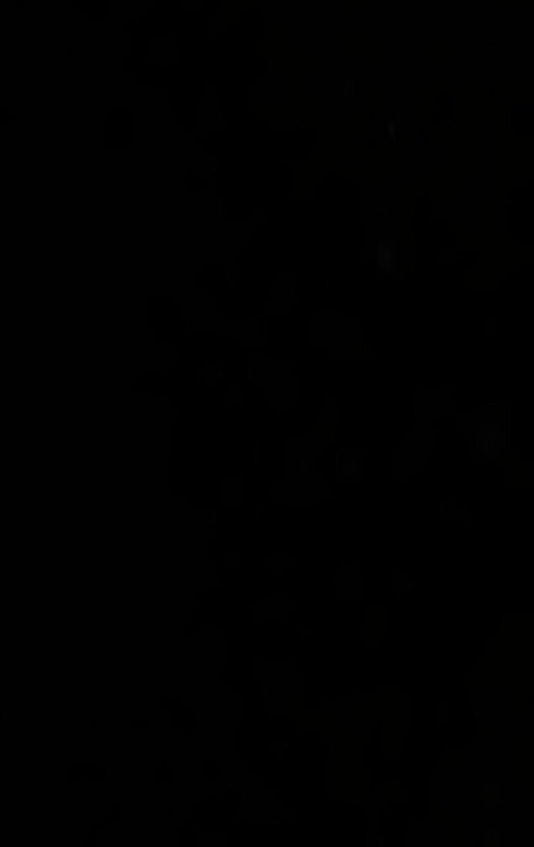 Malaisie : Un glissement de terrain dans un camping a fait 24 morts