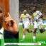 Coupe Du Monde : Didier Drogba Réagit Après La Qualification Du Sénégal !