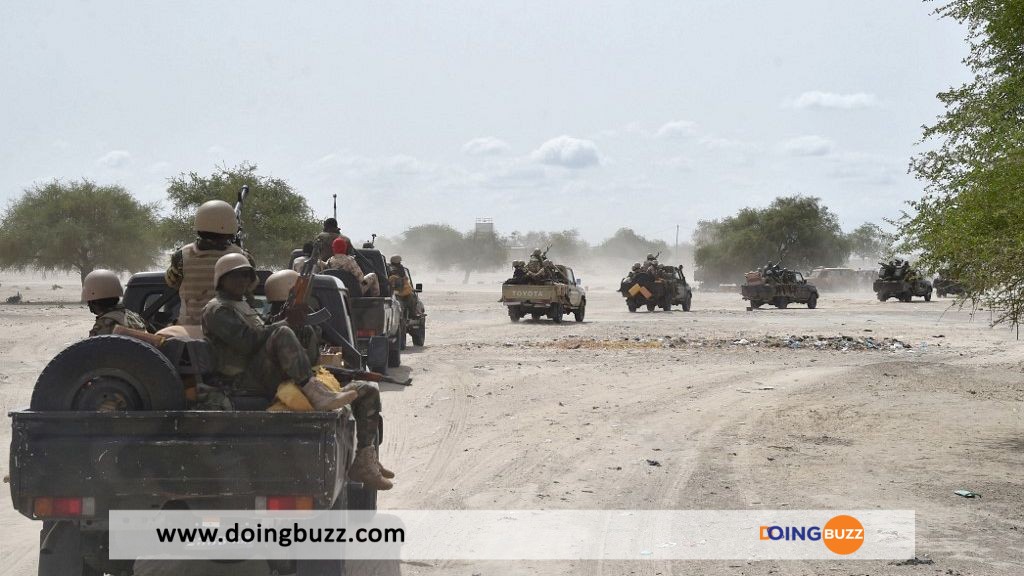 Niger : 11 Terroristes Tués, 6 Arrêtés