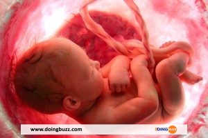 France : plusieurs embryons de bébé saisis chez un médecin