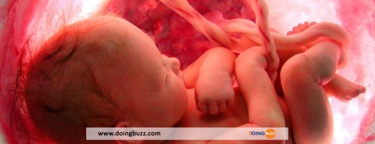 France : plusieurs embryons de bébé saisis chez un médecin