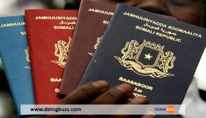 Les 10 Passeports Africains Les Plus Puissants