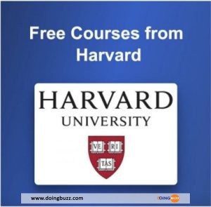 Apprenez L’informatique, Le Développement Web, L’ia Et Plus Encore De Harvard Gratuitement.