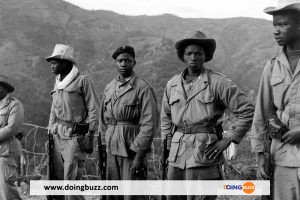 Au Sénégal, Les Derniers Tirailleurs Dénoncent Le « Manque De Reconnaissance » De La France