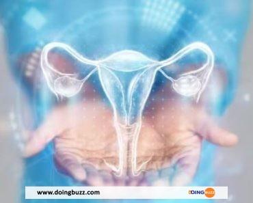 Santé Reproductive : 5 Mythes Que Vous Devez Démystifier
