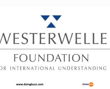 La Fondation Westerwelle Offre Une Bourse Aux Jeunes Fondateurs D&Rsquo;Entreprise