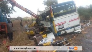 Sénégal : 19 Morts Dans Un Nouvel Accident De Circulation Causé Par Un Âne