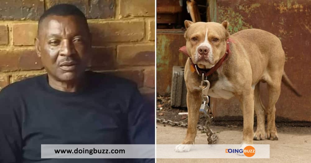 Zambie : un footballeur est mort mutilé par ses chiens