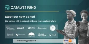 Changement Climatique : Le Fonds Catalyst Investit 2 Millions De Dollars Dans 10 Startups Africaines