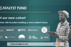 Changement climatique : Le Fonds Catalyst investit 2 millions de dollars dans 10 startups africaines