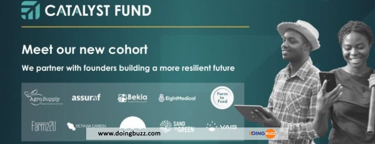 Changement Climatique : Le Fonds Catalyst Investit 2 Millions De Dollars Dans 10 Startups Africaines