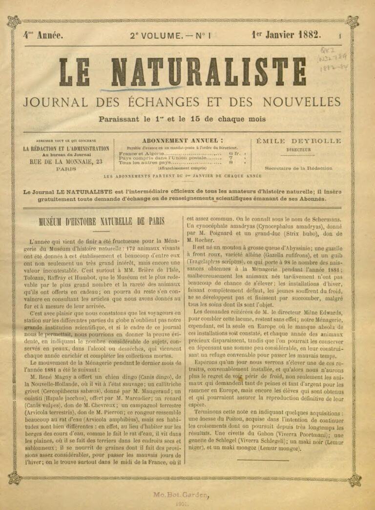Les nouvelles preuves qui pourraient inculper Dani Alves pour abus sexuel