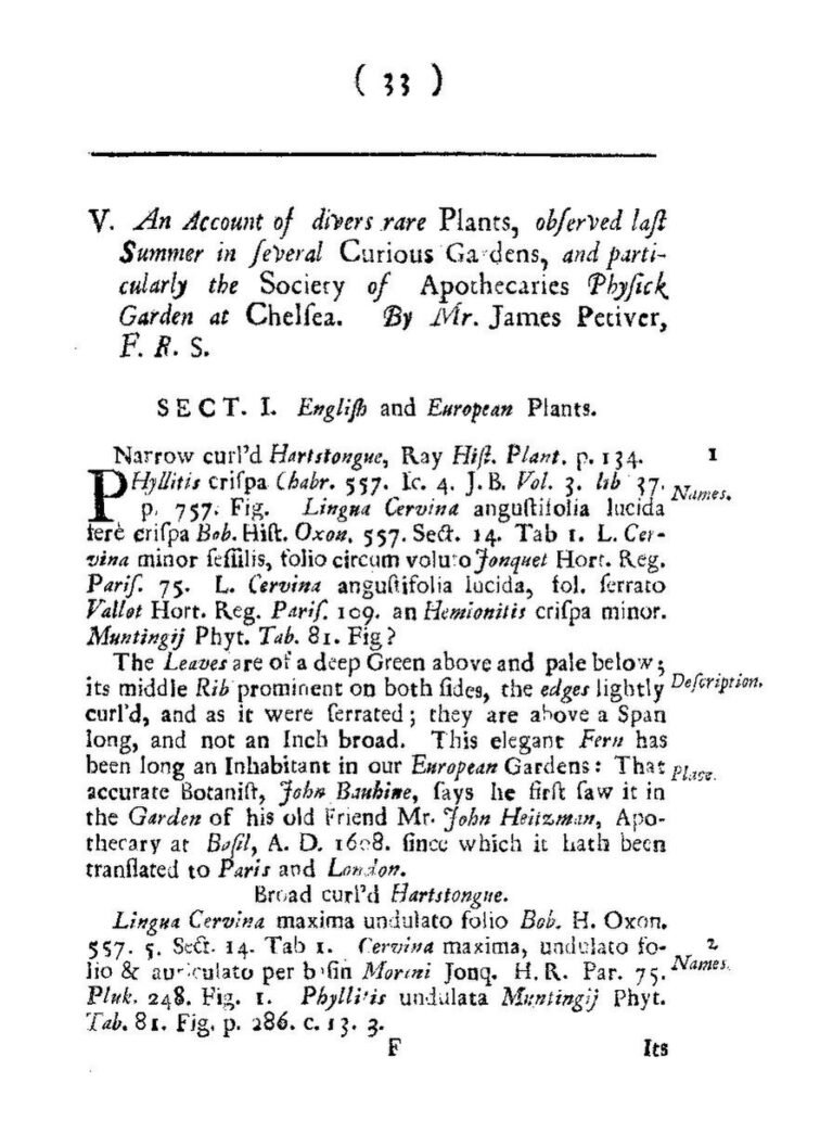 RDC : au moins 10 morts et 39 blessés dans un attentat contre une église
