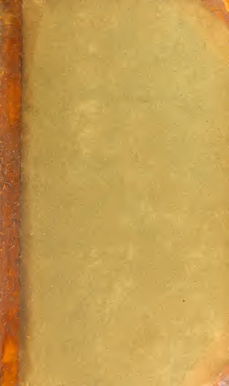 Le parti d’Alpha Condé décidé à affronter la junte : « Nous allons récupérer le pouvoir qu’on nous a arraché »