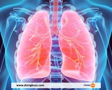 5 moyens naturels pour garder vos poumons en bonne santé