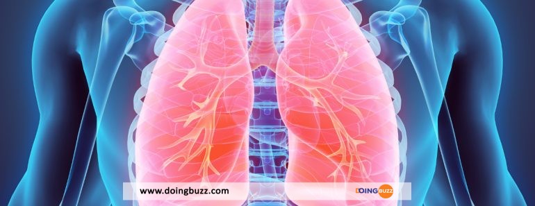 5 Moyens Naturels Pour Garder Vos Poumons En Bonne Santé