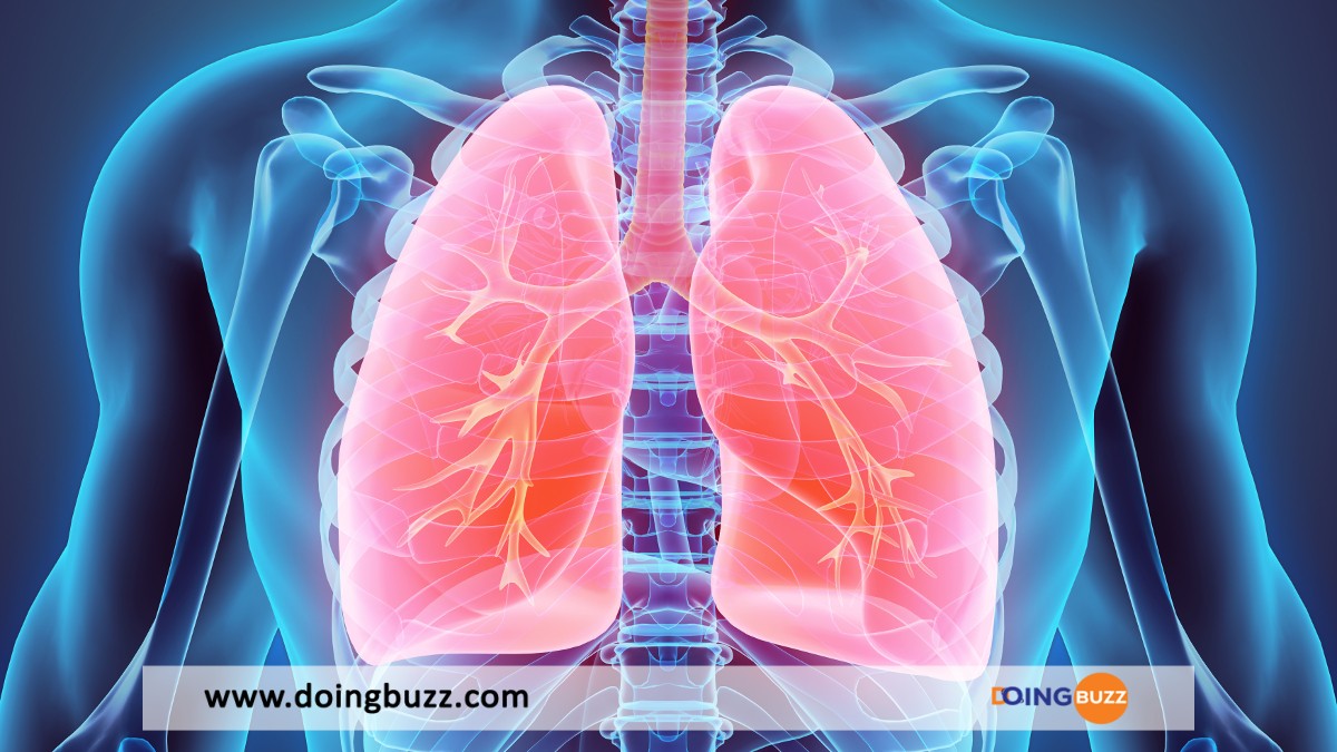 5 Moyens Naturels Pour Garder Vos Poumons En Bonne Santé