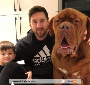 Lionel Messi : Ce Qu&Rsquo;Il Faut Savoir Sur Son Géant Chien Hulk (Photos)