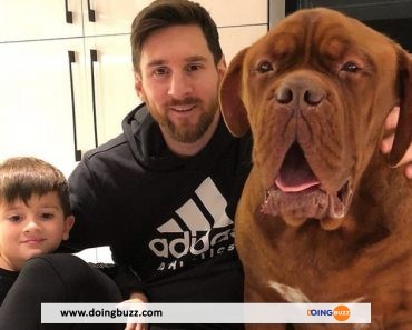 Lionel Messi : Ce Qu&Rsquo;Il Faut Savoir Sur Son Géant Chien Hulk (Photos)