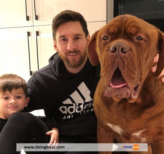 Lionel Messi : Ce Qu'Il Faut Savoir Sur Son Géant Chien Huk (Photos)