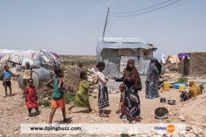 ONU : plus de 185 000 déplacés en raison des violences au Somaliland