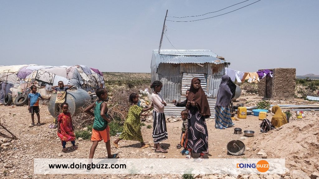 Onu : Plus De 185 000 Déplacés En Raison Des Violences Au Somaliland