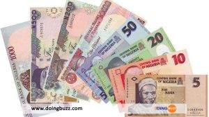 Nigeria : La Date Du Changement Des Anciens Billets Connue