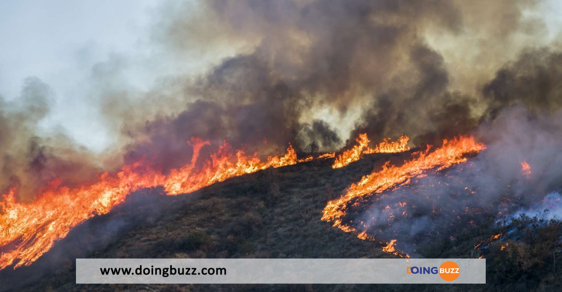 France : Plus De 40 Hectares De Végétation Brûlés Dans Un Incendie