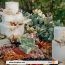 Ideas to inspire you for your wedding food