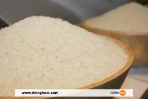 Jasmine Rice: One Of The Most Valued Treasures Of Thailand