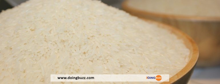 Jasmine Rice: One Of The Most Valued Treasures Of Thailand